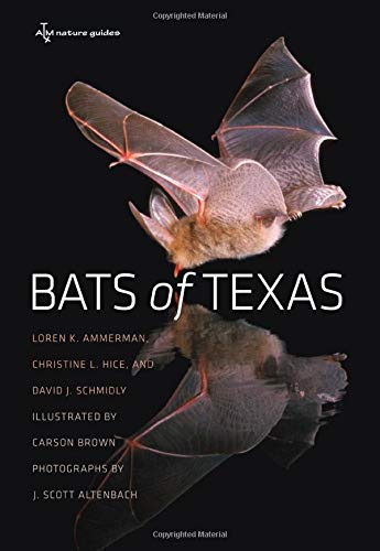 Bats of Texas (Volume 43) (W. L. Moody Jr. Natural History Series)