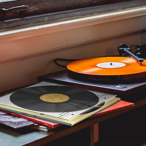 Mangas internas de papel de arroz de disco de vinil: mangas LP antiestáticas de 30,5 cm, gravação de