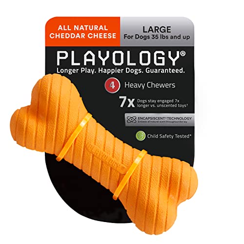 Playology-Dual-Layer-Bone-Toy-for-Large-Dogs-35lbs-up-Engaging-All-Natural-Cheddar-Cheese-Scented-Durable-Dog-Chew-Toy-for-Heavy-Chewers-Easy-to-Clean-Interactive-Non-Toxic - Cucciolini Doodles   Playology-Dual-Layer-Bone-Toy-for-Large-Dogs-35lbs-up-Engaging-All-Natural-Cheddar-Cheese-Scented-Durable-Dog-Chew-Toy-for-Heavy-Chewers-Easy-to-Clean-Interactive-Non-Toxic