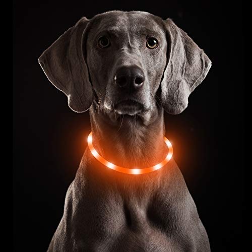 LED Dog Collar USB Rechargeable - TPU Glowing Light Up Pet Collars, Adjustable Waterproof Flashing Dog Safety Lights for Small Medium Large Dogs Night Walking&Camping(Orange-Silicone)