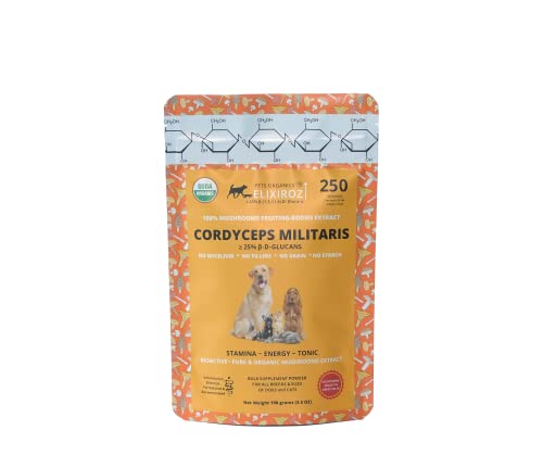 PURE CORDYCEPS M Cordyceps for Dogs & Cats