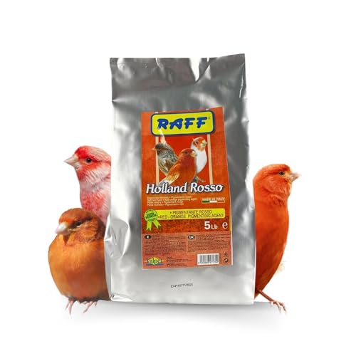 GLOBAL LUXURY MANAGEMENT Raff Holland Rosso Canary Red Food