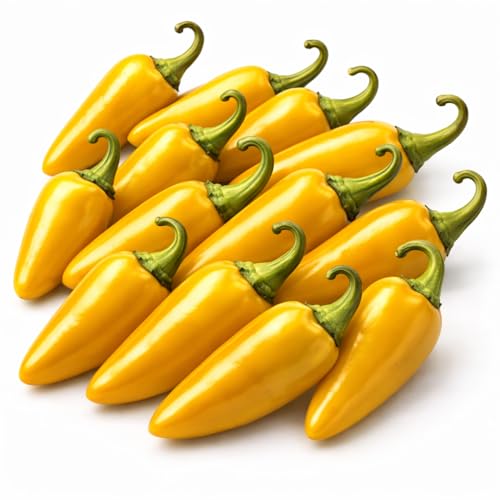 Frische Jalapeño Chili Schoten – Rot Gelb Grün – Knackig Aromatische Chilis – Rohe Früchte Ideal für Salsa Einlegen Grillen und Kochen (Gelb, 500g)
