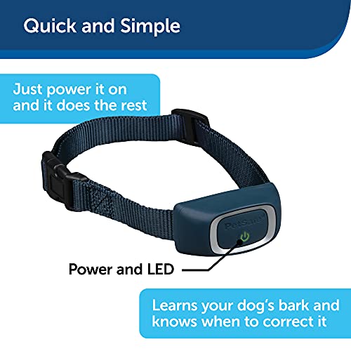 Petsafe Lite Rechargeable Bark Collar For Timid Or Little Dogs Over 8 Lb., 15 Levels Of Automatically Adjusting & Light Static Correction - Rechargeable, Waterproof - Reduces Barking And Whining #TOP4