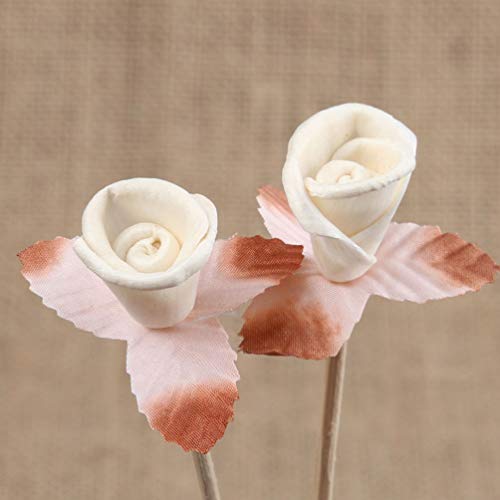 Palitos Difusores de Aroma 10 Piezas miniatura 3