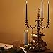 Laskey Dripless Taper Candles 10 Inch Tall Wedding Dinner Halloween Candle Set of 12 (Black)
