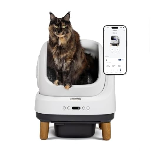 Automatic Self-Cleaning Cat Litter Box