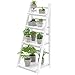 HOMIDEC Supporto per piante, 4 ripiani in legno con scala pieghevole espositori per piante da fiori, installazione gratuita, mensole angolari per interni, libreria per giardino, soggiorno, bianco