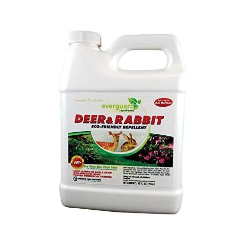 DEER&RABBIT CONCNTR 32OZ Cover