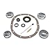 USA Standard Gear (ZBKC8.25-B) Bearing Kit for Chrysler 8.25 Differential