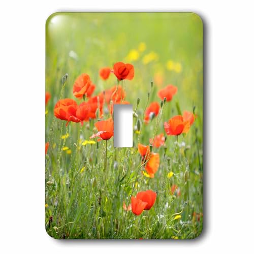 Interrupteur à bascule simple motif coquelicots pour rénover mur - 2
