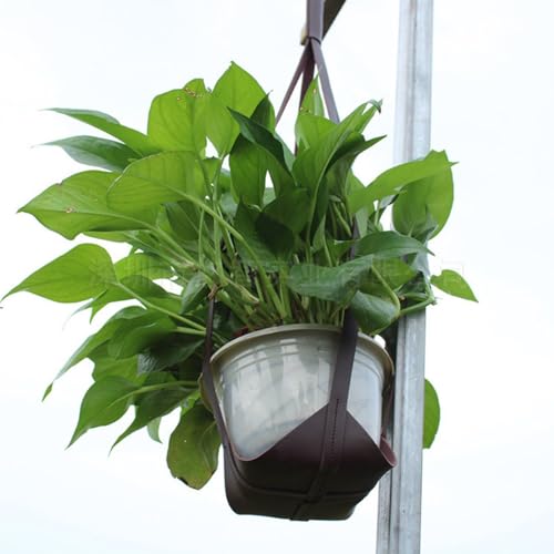 Dnyta DT1508 Flower Pot Holder Hanging Black 33 Inch Leather Plant Hanger Hanging Planter Basket Leather Plant Hangers thumb #4
