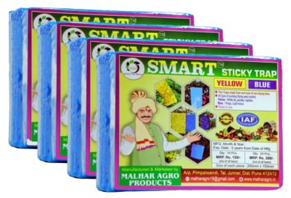 See full amazon price history chart for Smart Insect Blue stickyTrap Non Toxic and Chemical Free Fly Trap/Insect Catcher/Sticky Pads for Insects, Whiteflies, Aphids, Leaf Minor, Thriphs (10 Peace Packing) (Pack of 4) Smart Insect Blue stickyTrap Non Toxic and Chemical Free Fly Trap/Insect Catcher/Sticky Pads for Insects, Whiteflies, Aphids, Leaf Minor, Thriphs (10 Peace Packing) (Pack of 4) (B0CTF86M18) Amazon Price History, Amazon Price Tracker