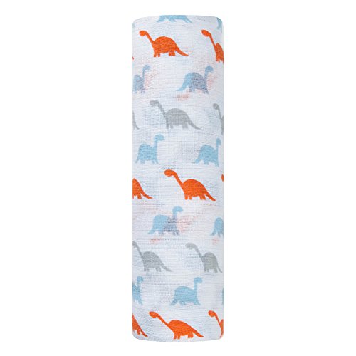 ideal baby by the makers of aden + anais Single Swaddle, Dinosaurs