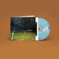 Amazon.co.jp: This Stupid World [輸入盤CD] (OLE1929CD)_1657