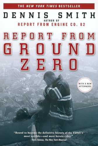 Report from Ground Zero view 2