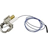 Pentair 471204 Natural IID Pilot Replacement Pool and Spa Heater