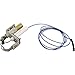Pentair 471204 Natural IID Pilot Replacement Pool and Spa Heater