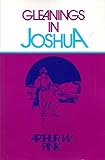 Gleanings in Joshua