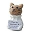 Cat-brown-awesome