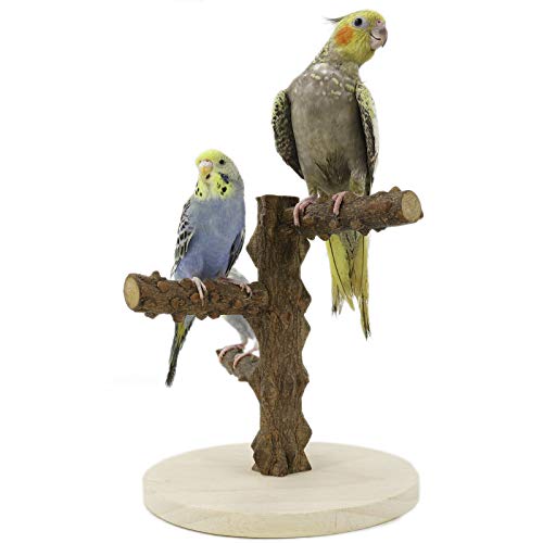 YINGGE Parrots Playstand de Pájaro Parque de Madera Perca Gimnasio Soporte Ejercicio Playgym para Conure Lovebirds