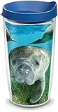 Tervis Made in USA Double Walled Manatee Insulated Tumbler Cup Keeps Drinks Cold & Hot, 16oz, Clear