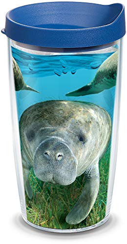 Tervis Made in USA Double Walled Manatee Insulated Tumbler Cup Keeps Drinks Cold & Hot, 16oz, Clear