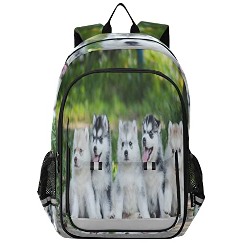 Sac à dos en cuir léopard enfants garçons 10-12 ans Husky Puppies Pack