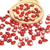 【Large application】Les coccinelles en bois autocollantes sont idéales pour décorer les plantes lors de fêtes et peuvent également décorer de nombreux objets d'intérieur tels que des cadres photo, des vases, des boutons, des lanternes en papier, des mini-jardins, des bonsaïs et des décorations murales.