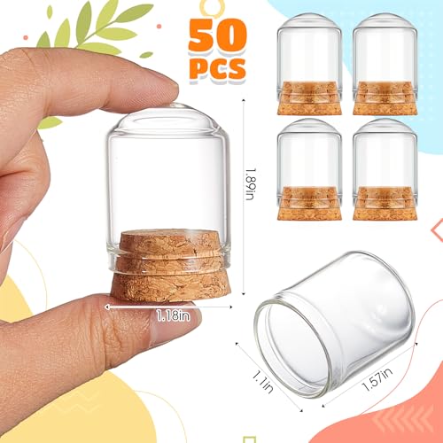 Barydat 50 Pcs 15ml Cloche Glass Dome with Cork Lids Cloche Bell Jar Mini Glass Bottles with Base Decorative Jars Display Case for Specimen Flower Storage Crafts Arts Party Favor Decor
