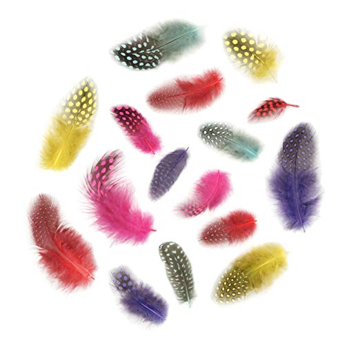 Zucker - Loose Guinea Plumage Mix Dyed - Day Glo Mix #TOP2