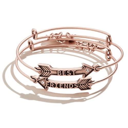 Alex and AniBecause I Love You Expandable Bangle for Women, Best Friends Arrow Charm, Antique Rose Gold Finish, 2 to 3.5 in, Set of 2, One Size, 1 Count (Pack of 1), Rose Gold, no gemstone
