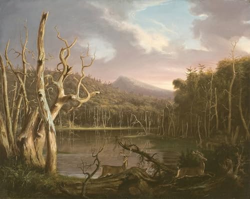 Tableau toile lac arbres morts Cole habiller grand mur vide 60x90cm