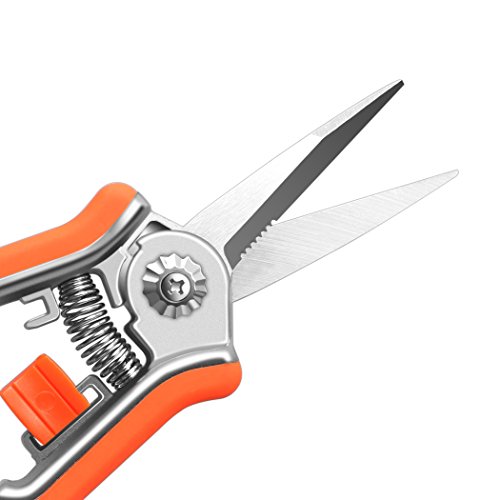 Flora Guard 6.5 Inch Micro-Tip Pruning Snip Gardening Hand Pruning Shears Trimming Scissors With Stainless Steel(Orange) #TOP2