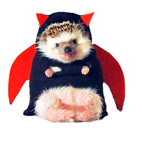 Disfraz de Erizo Devil para Mascotas Talla L
