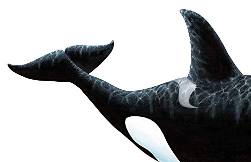 Walls Of The Wild Orca Wall Decal Large (48 In. X 28 In.) #TOP2