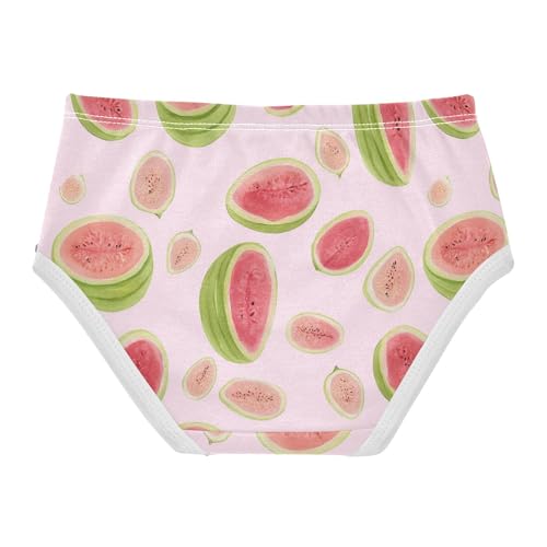 Wusikd Watermelon Pink Guava Girls' Underwear Cotton Girls Briefs Soft Toddler Underwear 2T2