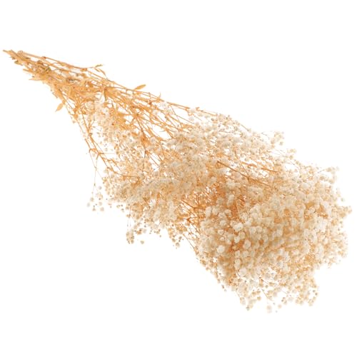 Ramo de flores secas Babys Breath 120g natural beige miniatura 1