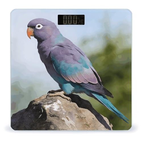 Báscula Digital Parrot Smart Body Weight para 180 kg miniatura 1