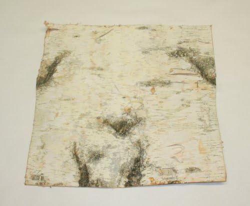 Birch Bark (2 sheets of bark measuring 18" x 18" each)