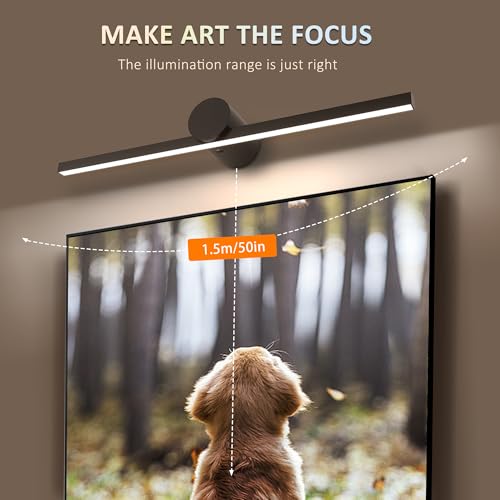 ZitoStory Luz de imagem operada por bateria com controle remoto, luzes de arte reguláveis sem fio pa