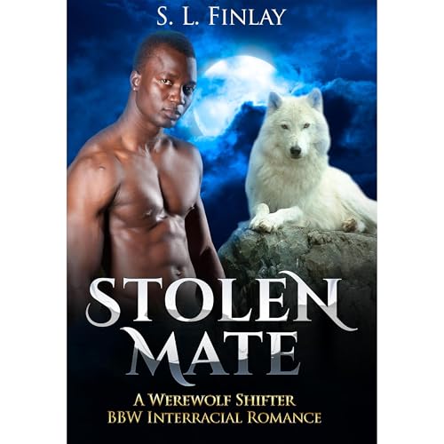 Stolen Mate Audiolibro Por S. L. Finlay arte de portada