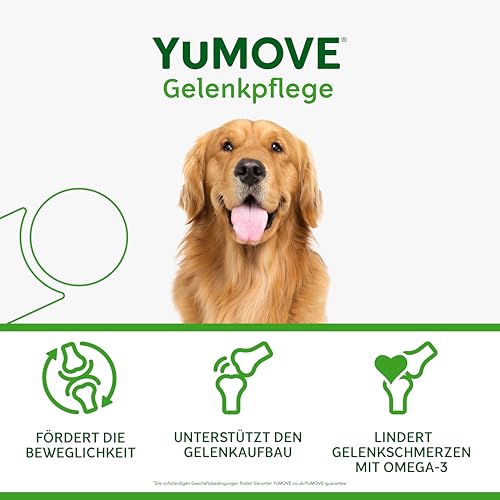 YuMOVE Gelenktabletten Hund 5–8 Jahre - 300 Tabletten - 150mg Jede Tablette Patent Angemeldet ActivEase Grünlippmuschel Hund - Testsieger für Bewegungsunterstützung mit Glucosamin und Chondroitin