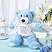 Lenwen a Bear Hug Gift Get Well Soon Sympathy for Women Plush Stuffed Animal Hug Thinking of You Condolences Memorial Loved Present(Blue,Bear)