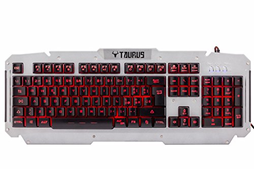 iTek Taurus T21 USB QWERTY Italiano Acciaio inossidabile