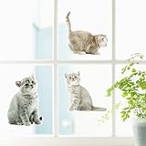 車ステッカー 猫柄 24x70cm 20x30 かわいいネコのイラスト ガラスステッカー 防水仕様 装飾 おしゃれ 壁紙 はがせる 剥がせる カッティングシートガラス 汎用 車ドア 窓 ウォールステッカー 壁シール 装飾