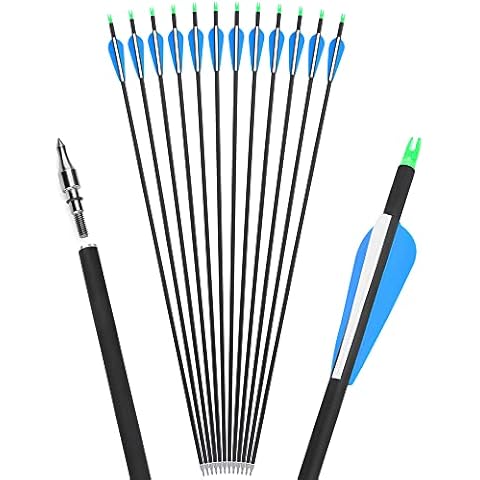 Flèches ZSHJGJR en Carbone Cover