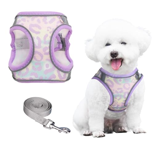 PawSailor Pettorina Cane Taglia Piccola con Guinzaglio, Anti Tiro Step-in con Stampa Floreale Mesh Traspirante, Pettorina Cuccioli Regolabile Riflettente Imbottita Morbida A Prova di Fuga Lavanda XXXS