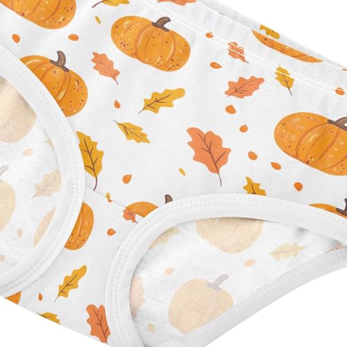 Fall Pumpkin Thanksgiving Autumn Toddler Girls's Underwear 2T 202b71474