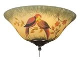 Fanimation G439 Glass Bowl, 13-Inch, Hand-Painted Parrot